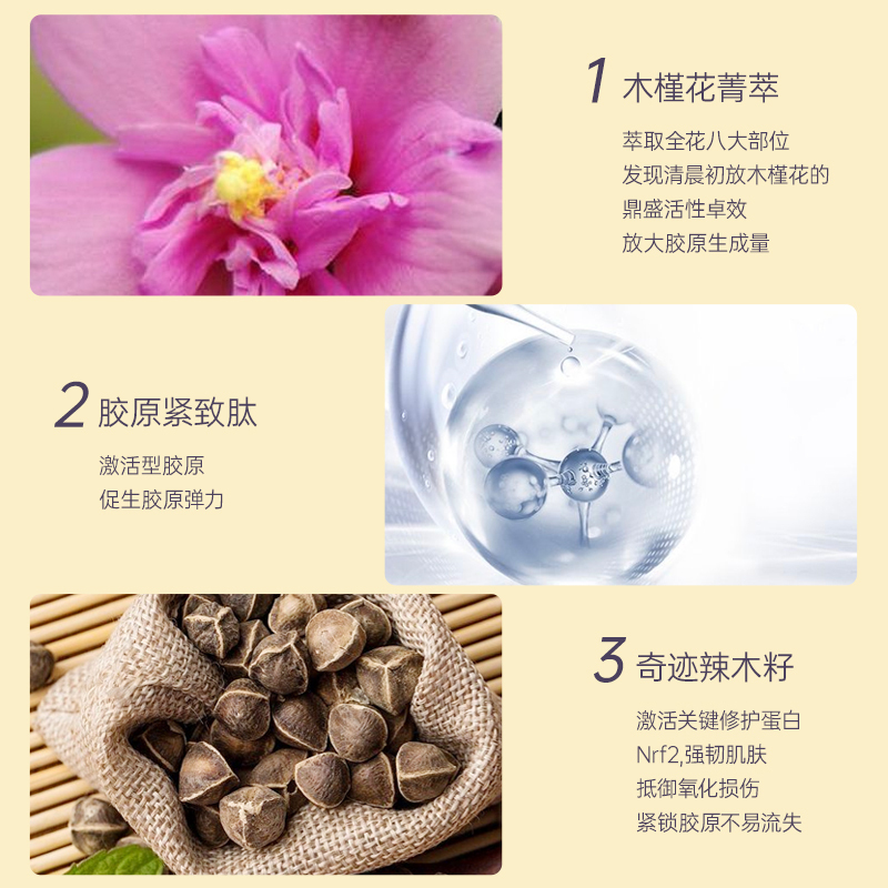 智妍胶原霜]Estee Lauder 雅诗兰黛多效智妍精华面霜 75ml 清爽胶原乳霜 紧肤淡皱 提拉紧致 精华霜