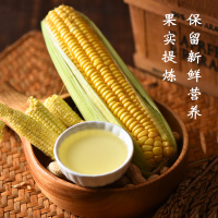 350ml 焙芝友 玉米油烘焙专用蛋糕小瓶色拉油食用油家用非转基因调和油