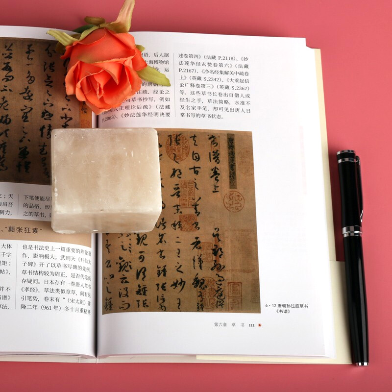 [醉染正版]正版 极简中国书法史 篆书隶书楷行草 碑帖甲骨文字的演变历史故事艺术史王羲之兰亭序祭侄稿陆机平复帖苏轼米芾黄高清大图