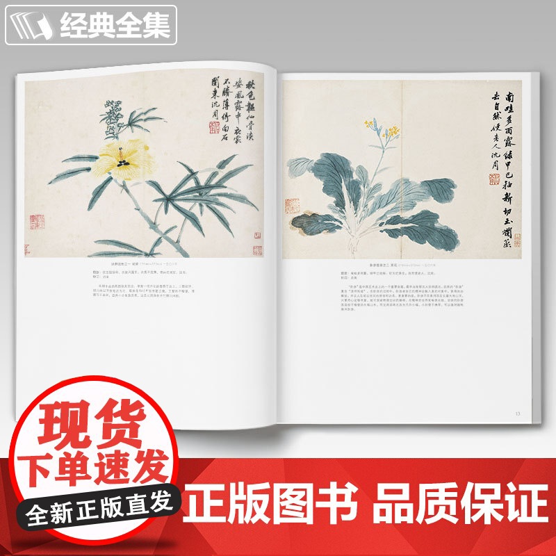 沈周画集 山水画册页 8开大临摹范本书籍 中国画入门教材 写意花sh高清大图