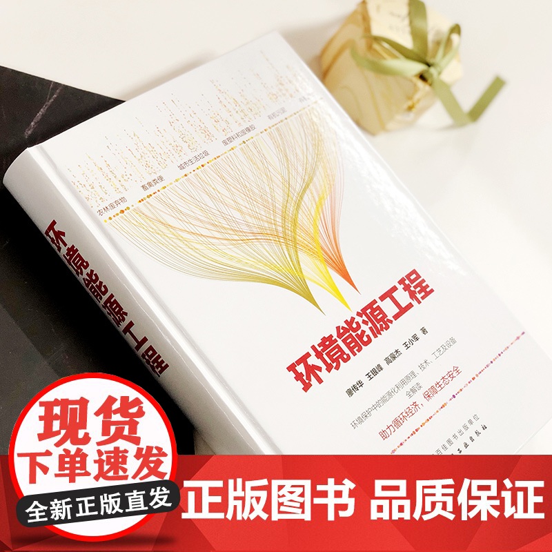 正版 环境能源工程 廖传华 环境保护能源化利用技术 有机废弃物能源化利用 能源清洁利用工具书 高等学校新能源化工环境科学高清大图