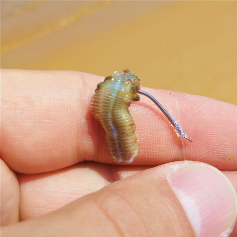 氧化三甲胺tmao钓鱼小药添加剂黑坑鲤鱼鱼饵野钓窝料配合dmpt同款视频介绍 氧化三甲胺tmao钓鱼小药添加剂黑坑鲤鱼鱼饵野钓窝料配合dmpt同款功能演示视频 苏宁易购