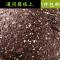 专家配置营养土栽花土泥碳土种植土有机基质泥土种菜土特价 邮
