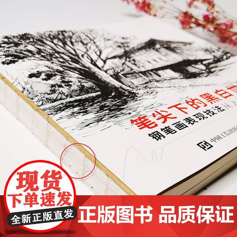 笔尖下的黑白世界 钢笔画手绘表现技法从入门到精通 钢笔画技法建筑钢笔画风景速写钢笔速写书临摹画册线稿教程钢笔淡彩技法书籍高清大图