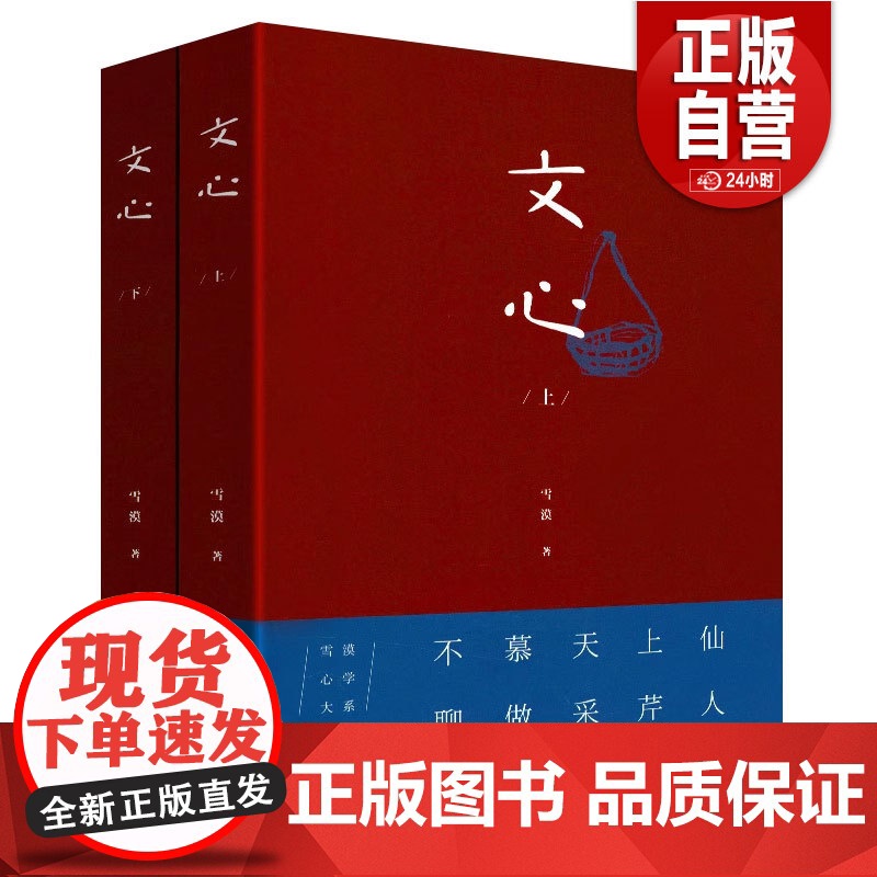 【正版】 文心(上下)全2册雪漠文学的书雪漠心学作品人生哲学读物文学的精神和文化般若佛法修正国学经典当代散文随笔