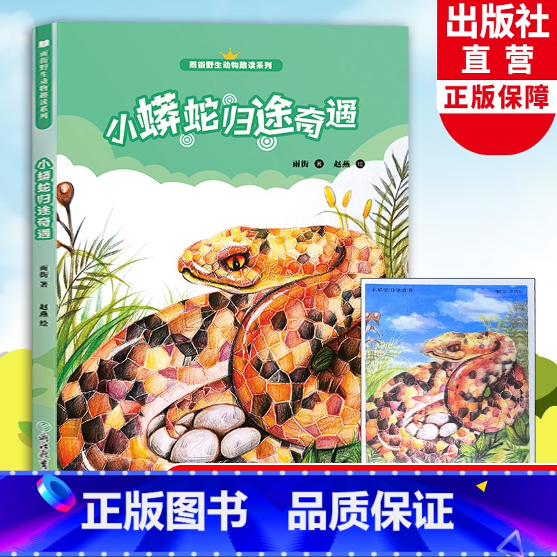 小蟒蛇归途奇遇 [正版]小蟒蛇归途奇遇 雨街动物趣读系列 狼王梦小说作者沈石溪儿童书籍8-12-15岁三四五六年级中小学高清大图