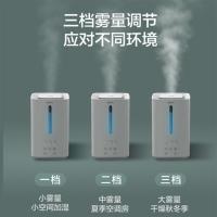 格力(GREE)加湿器 SCK-45X63 抑菌卧室孕妇婴儿上加水双重防漏轻音低噪三档调节小型家用空气香薰大雾量 白色