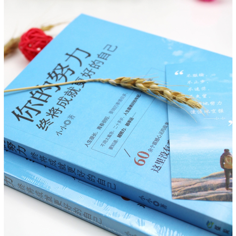 [正版] 你的努力终将成就更好的自己 将来你的一定会感谢现在拼命的自己 青春 成功励志 心理学l励志图书籍 书排行