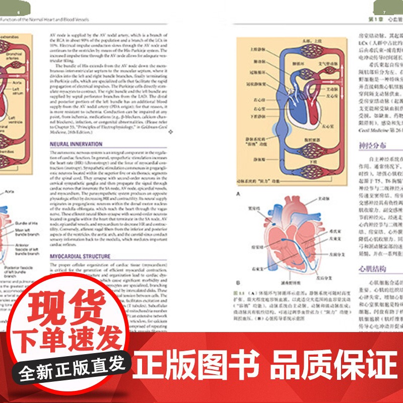 DF单本套装任选希氏内科学精要 第10十版 第12345678910册中英双语版世界知名医学院医学生用书共学一部书西氏北高清大图