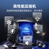 星星(XINGX)315升商用家用双温 冰柜 冷藏冷冻转换冷柜 商用保鲜设备展示柜 顶开门冰箱 BCD-315JE