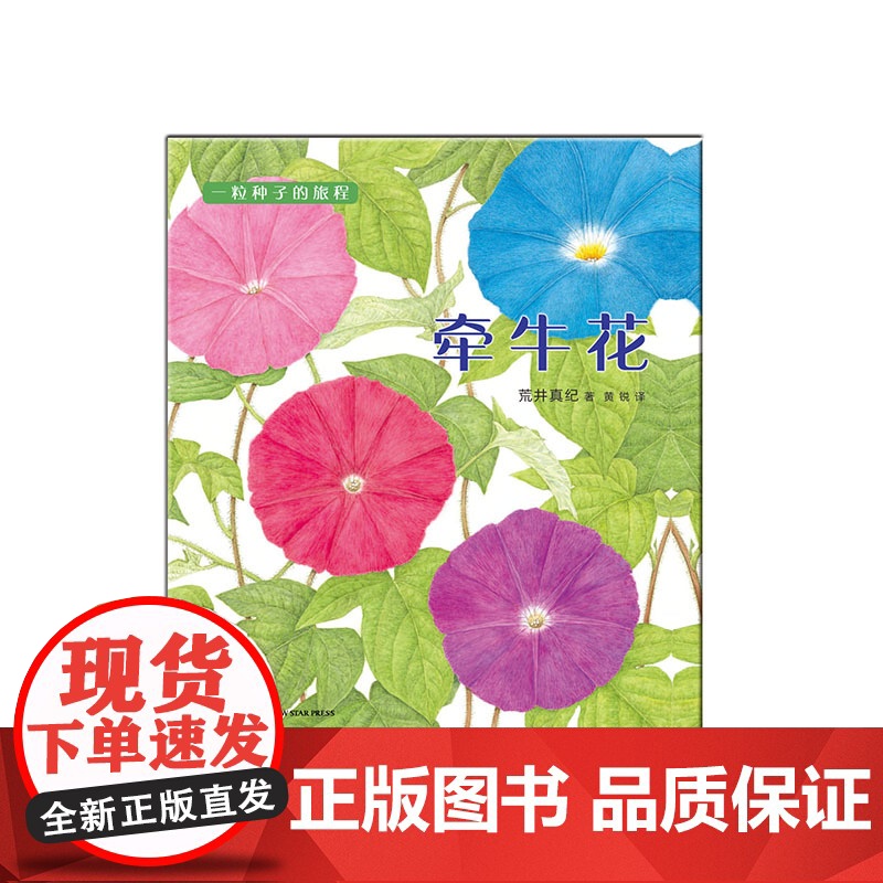 牵牛花 3-6岁 荒井真纪 著 科普百科高清大图