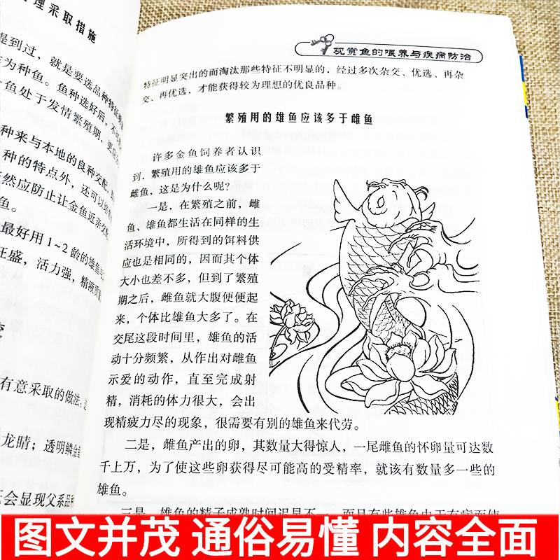 [正版]观赏鱼的喂养与疾病防治观赏鱼养殖入门书籍养鱼大全技术选鱼饲养与鉴赏图典锦鲤鱼养护喂养技巧教程养殖实用技法淡水鱼类高清大图