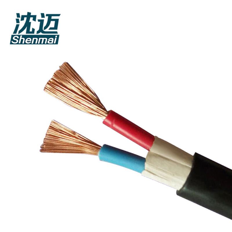 沈迈 铜芯软电线 ZC-VVR-0.6/1kV-2*4平方 1米高清大图