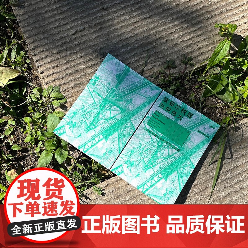 埃菲尔铁塔为何伟大 改变你对建筑认识的70个问题 乔纳森·格兰西 著 艺术高清大图