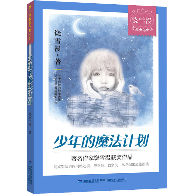 醉染图书少年的魔法计划9787539570