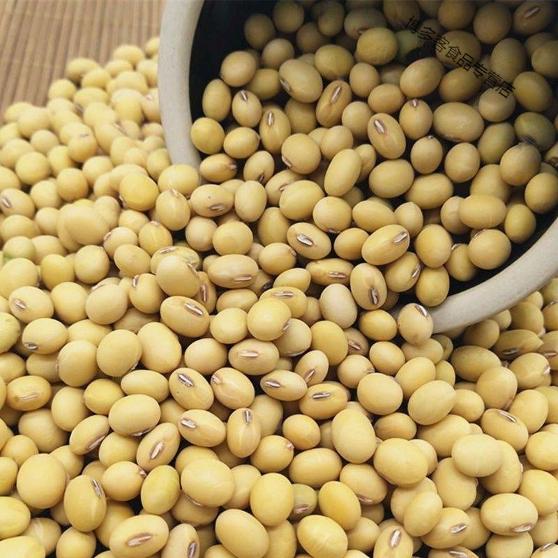 农家自产大黄豆1-5斤五谷杂粮豆浆豆芽批发豆子批发黄豆 精选5斤装