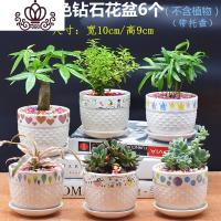 封后多肉花盆陶瓷简约带托盘肉肉植物小花盆家用大口径花盆 白色钻石6个 中小花盆容器