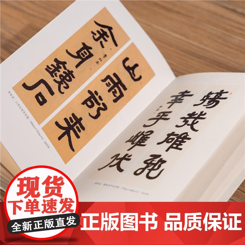 书法美之领悟 湖山艺丛 书法家章祖安谈论书法审美及相关理论问题专集图文并茂语言朴实可读性指导性俱佳领悟书法之美提升书法水高清大图
