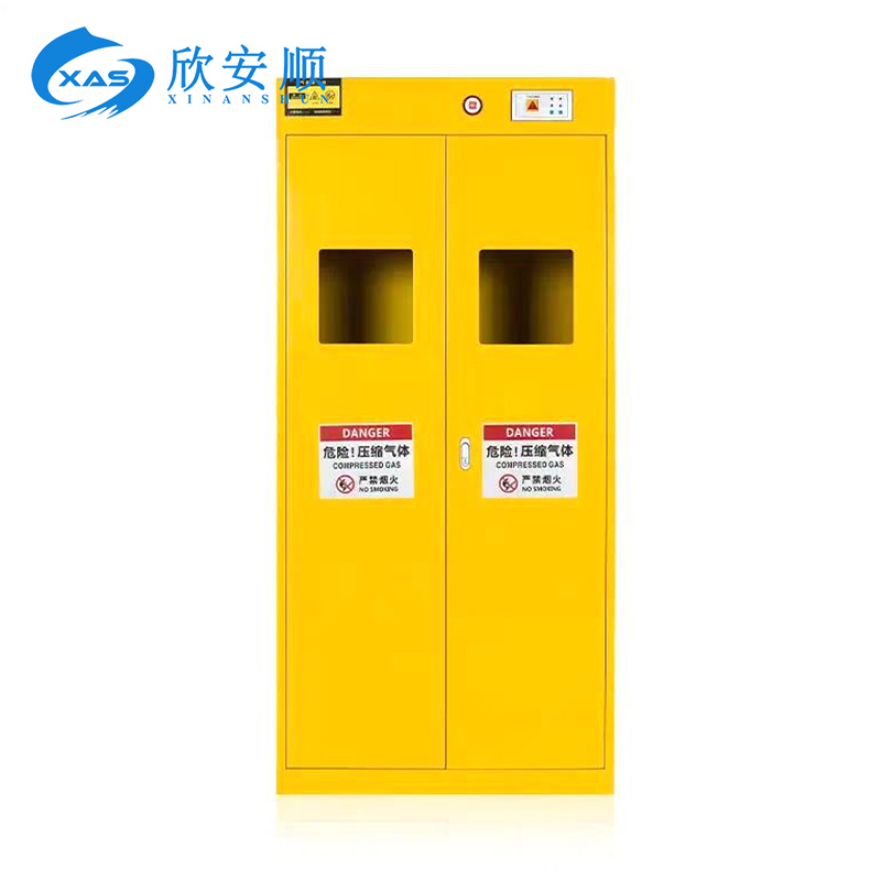 两瓶智能气瓶柜 900*450*1900mm 台