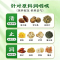 5盒囤货 160g/盒同仁堂罗汉果胖大海雪梨菊花茶陈皮山楂甘草薄荷枇杷茶金银花茶养身茶正品官方旗舰