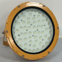 天住尔 防爆泛光灯(TZL-FB8125) TZL-FB8125-100W.(货期1-2周)