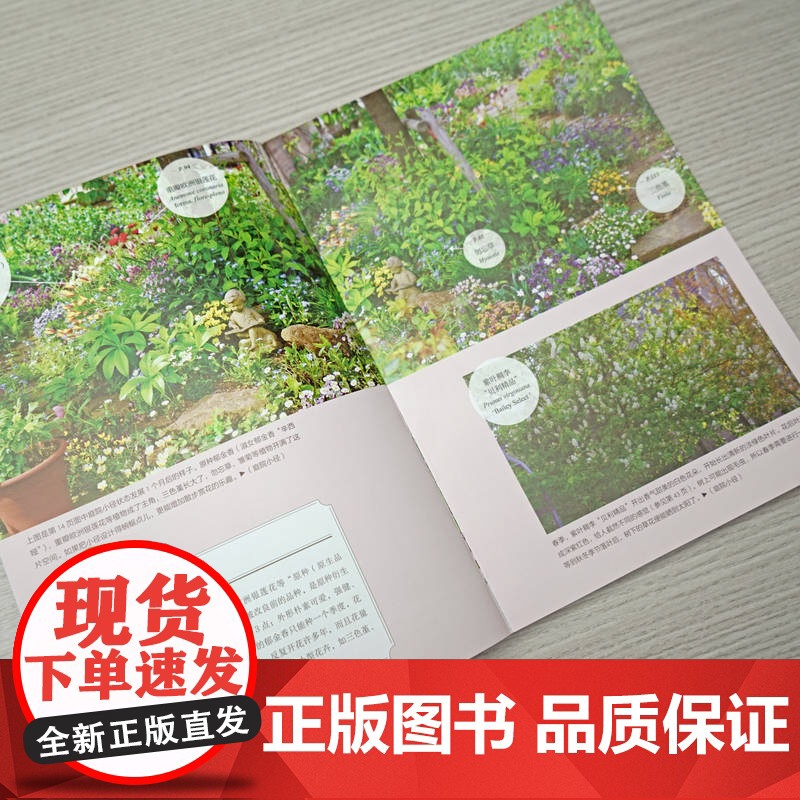 正版 365天花满庭院的园艺技巧 向阳处、背阴处、庭院小径、花坛 春夏秋冬四季 花园故事 9787111768364高清大图