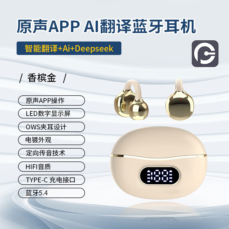 sayrelances塞尔兰斯 AI翻译降噪蓝牙耳机T12 AI高清大图