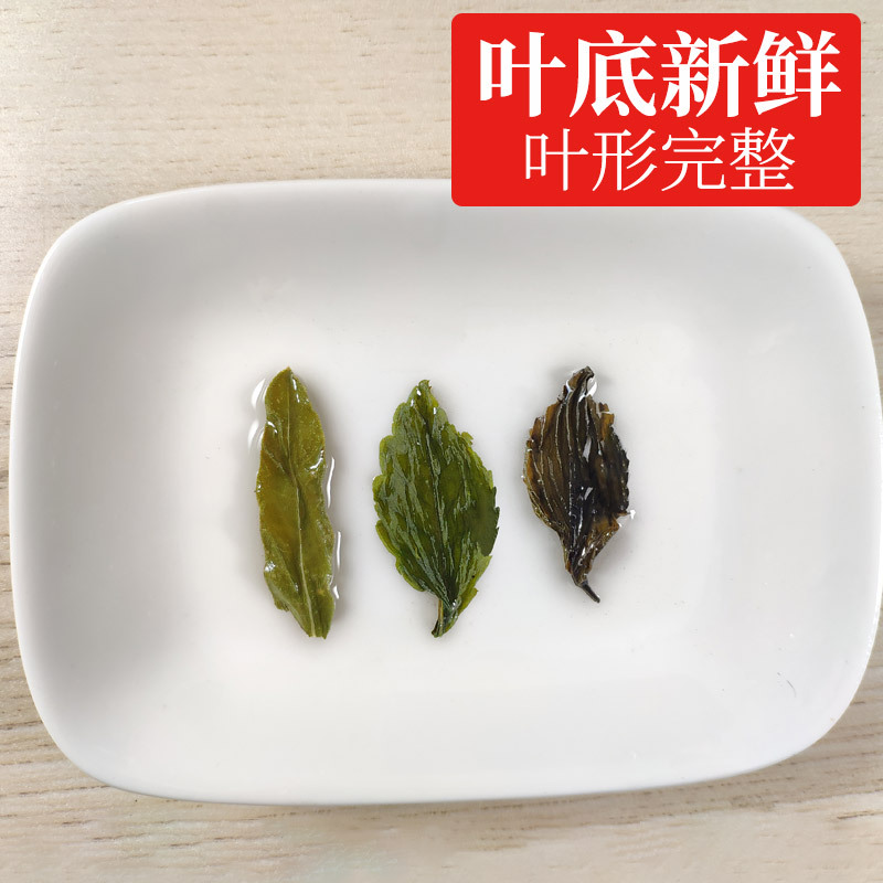 聚修堂 罗布麻杜仲绞股蓝组合茶 1000克