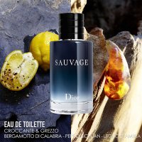 Dior 迪奥 Sauvage清新之水旷野男士淡香水 60ml 经典淡香EDT香氛