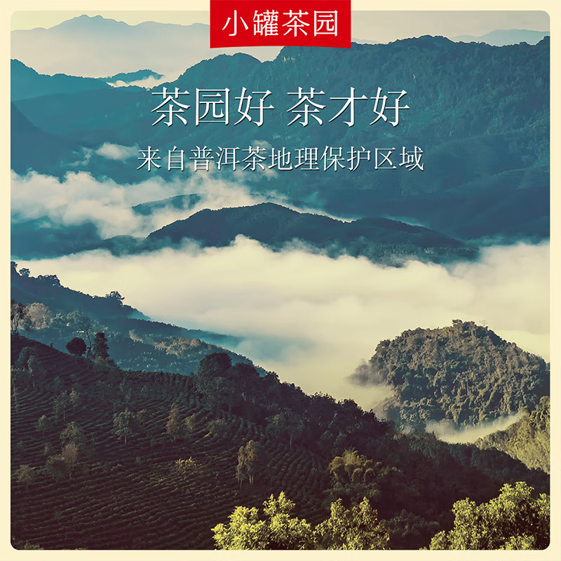 小罐茶 160g 彩标系列普洱熟茶(罐)