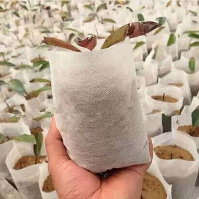 可降解无纺布育苗袋加厚美植袋无纺布营养袋种植袋花盆