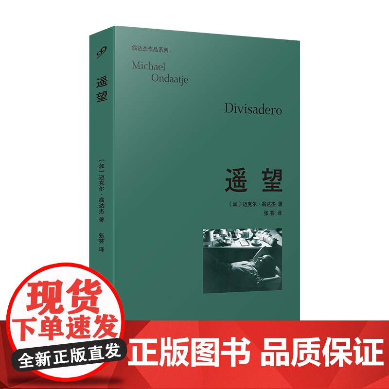 遥望(翁达杰作品系列) 《英国病人》作者迈克尔·翁达杰深情之作!关于激情,关于失去,关于爱和记忆……外国文学小说高清大图