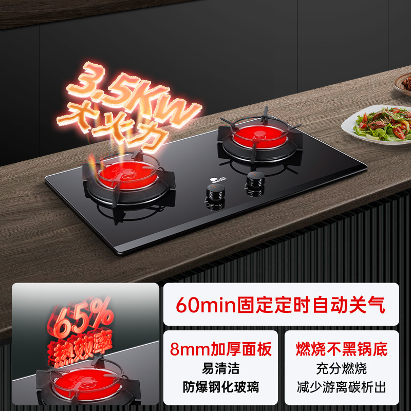 红日(RedSun)红外线燃气灶双灶双眼灶家用定时灶具厚面板换装免改孔烧烤炒菜两用台嵌灶JZT-EX16B(天然气)