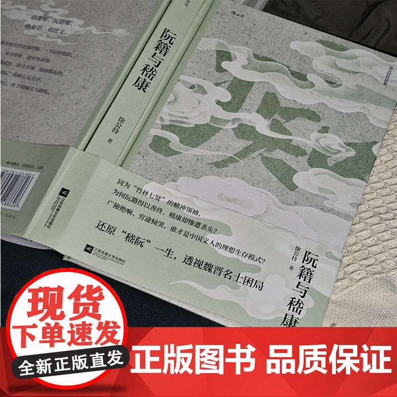 阮籍与嵇康 还原嵇阮一生 透视魏晋名士困局 感怀魏晋风骨高清大图