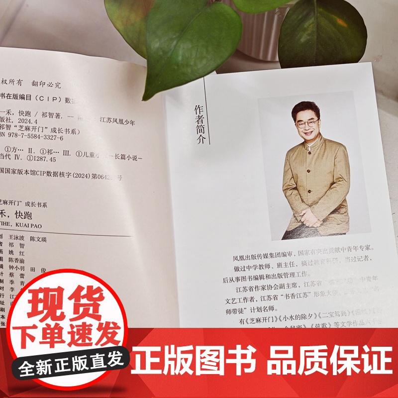 祁智芝麻开门成长书系:方一禾,快跑高清大图