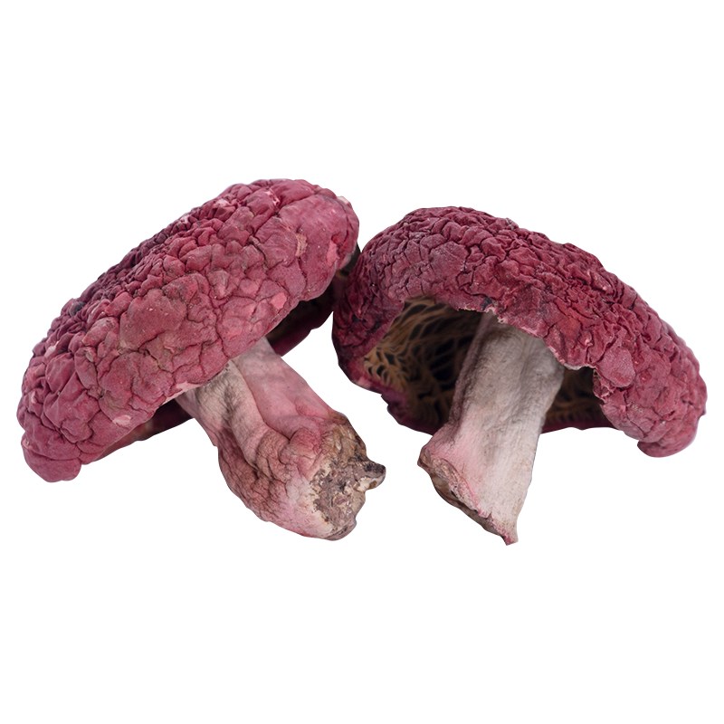 秦川印象 野生大红菌100g/罐高清大图