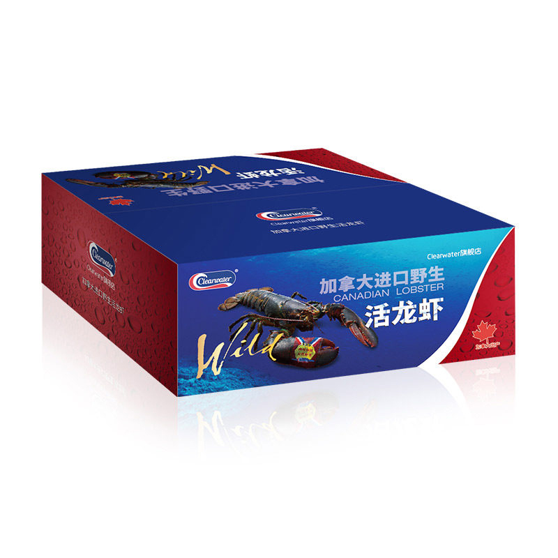 Clearwater加拿大进口鲜活新鲜生鲜大龙虾活龙虾1.5kg北极清水