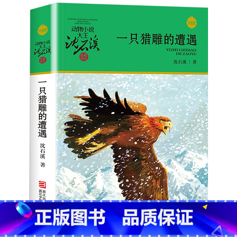 一只猎雕的遭遇 [正版]沈石溪动物小说品藏书系列全集36册 斑羚飞渡第七条猎狗后一头战象雪豹悲歌珍藏版全套画本生肖高清大图