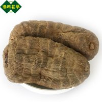 滇域茗草 大号昭通小草坝冬天麻 乌天麻500g(6个)