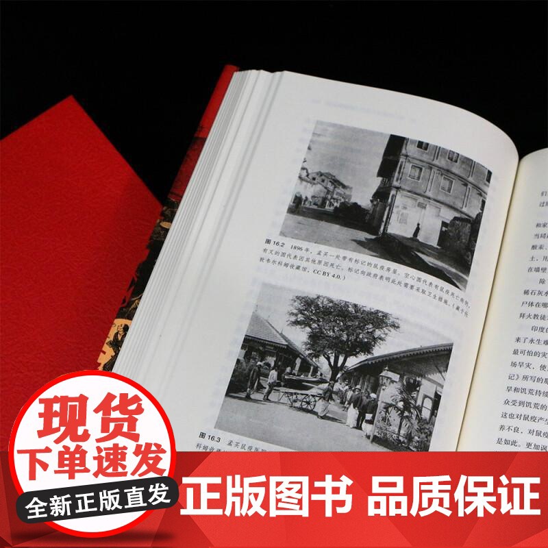 流行病与社会 智慧宫015 千年瘟疫史 社会公共卫生疫情军事政治经济文学医学科普历史书籍 中国华侨出版社 后浪出版高清大图