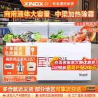 星星(XINGX) BD/BC-518GD冰柜518升商用卧式大冷柜 冷藏冷冻转换商用保鲜设备 雪糕冰冻柜急冻速冻大冰柜
