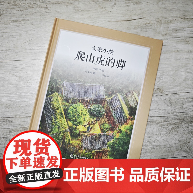 大家小绘系列:爬山虎的脚高清大图