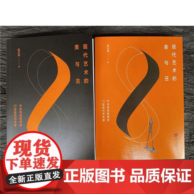现代艺术的美与丑 中央美院教授的10堂现代艺术课 周至禹 著 艺术高清大图