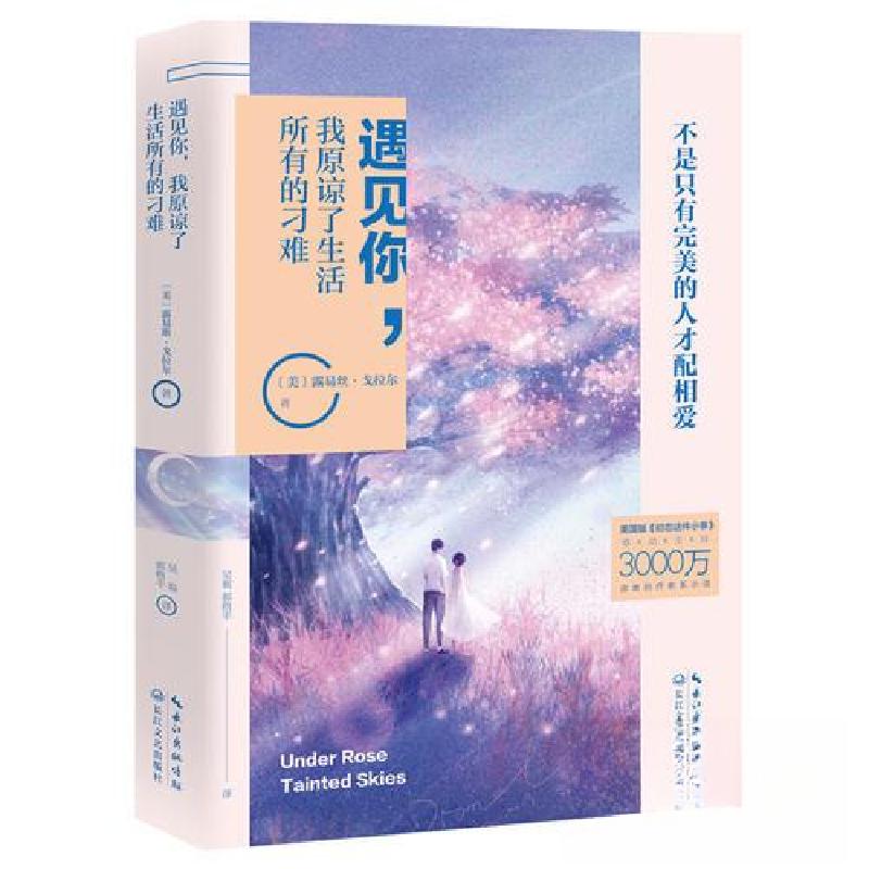 正版新书]遇见你,我原谅了生活所有的刁难[美]露易丝·戈纳尔(Lou