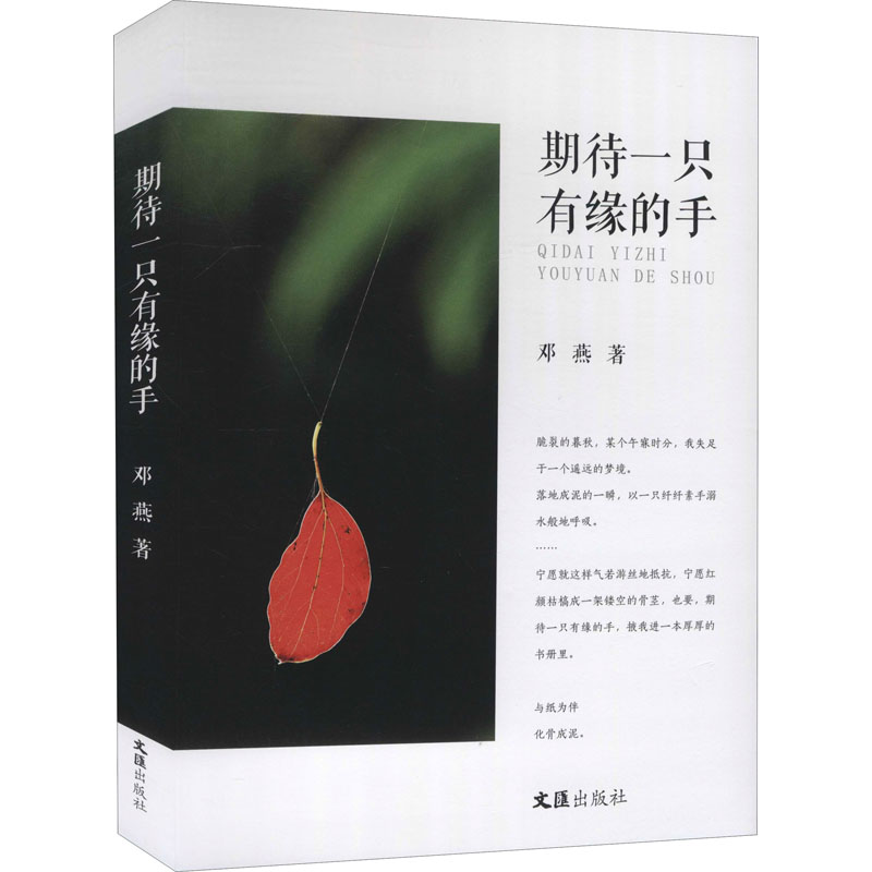 【M】期待一只有缘的手 邓燕 著 -9787549636334