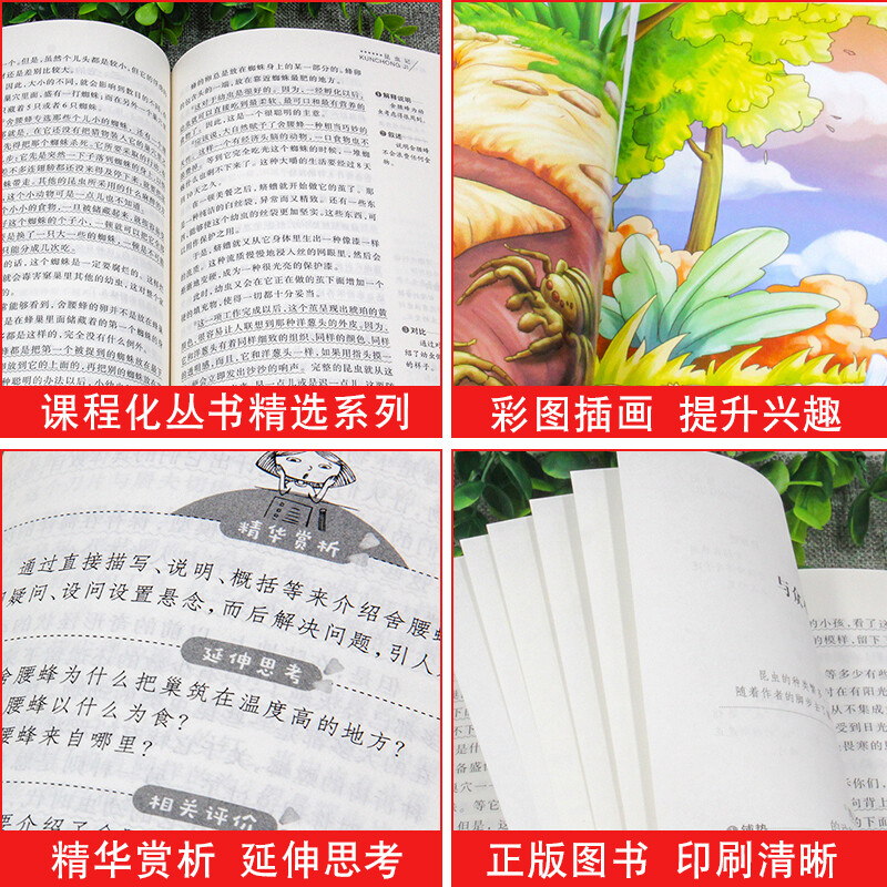 [正版]绿山墙的安妮 爱不释手的儿童成长故事 儿童文学经典书系 小学生阅读书目 青少年课外文学阅读书籍 青少年校园成长高清大图