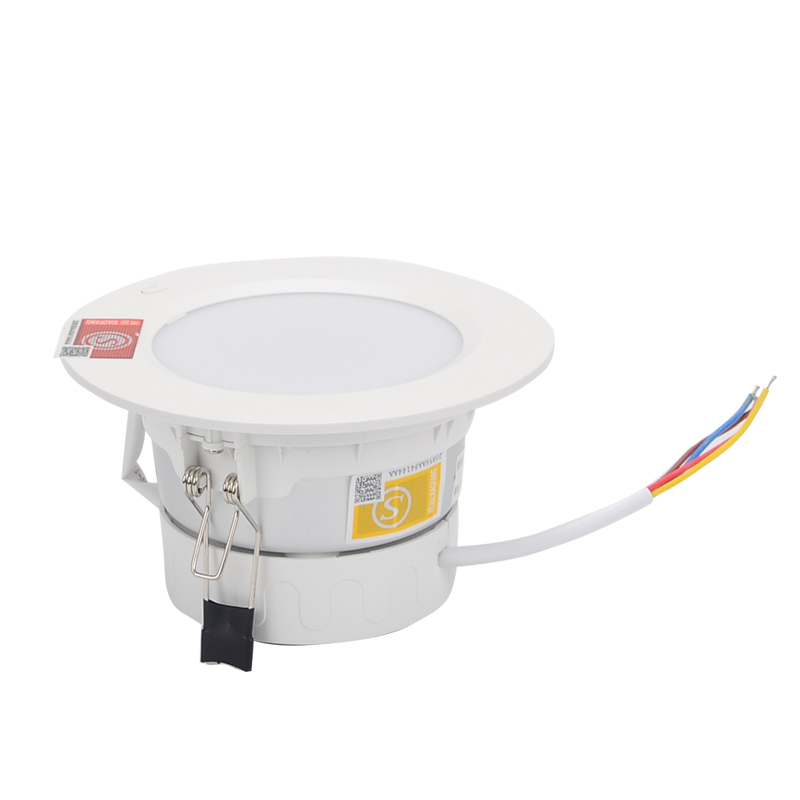 江荆 应急筒灯 消防应急照明射灯 ZX-ZLZD-E12W-16-TD (单位:个)
