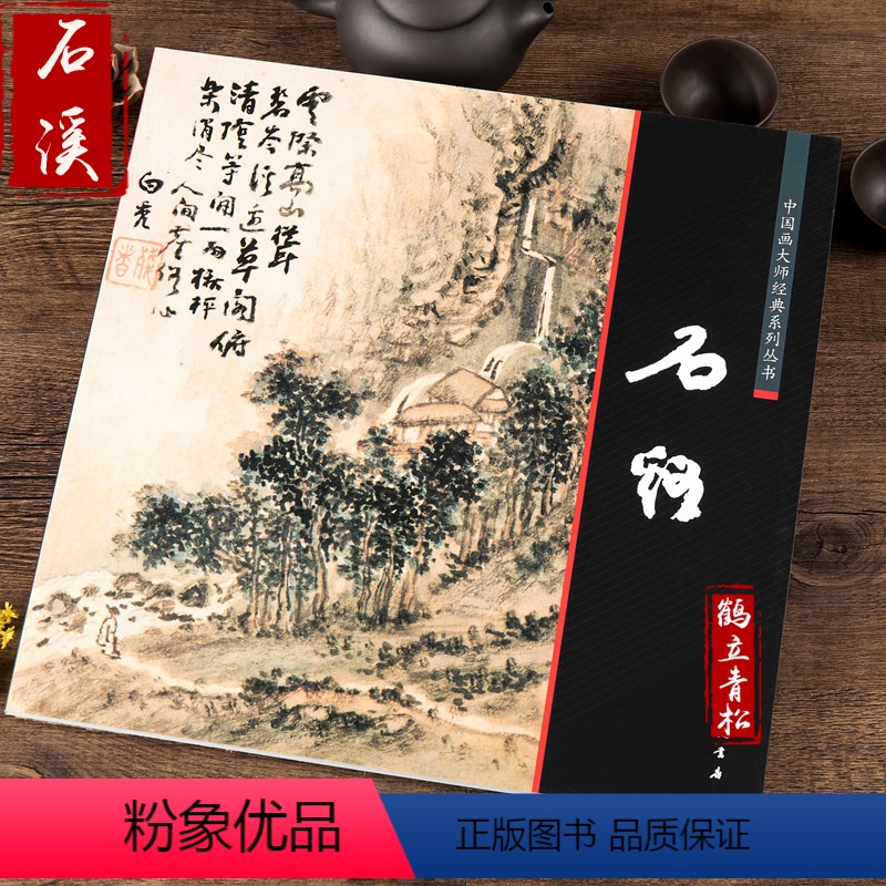 【正版】中国画大师经典系列丛书 石溪 髡残 明末清初画家 艺术图书书籍