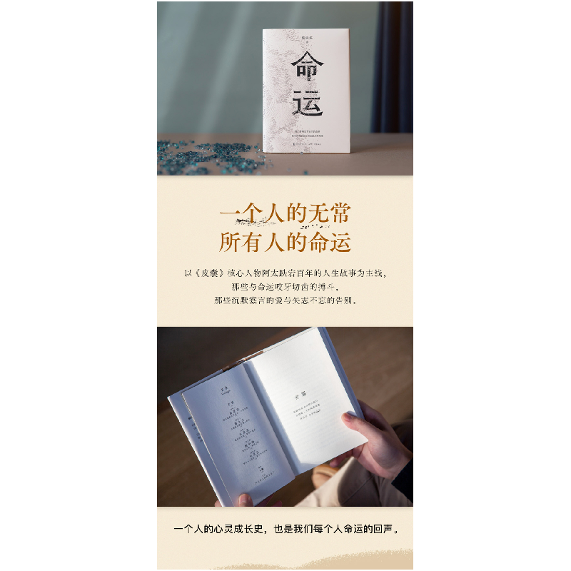 正版新书]命运蔡崇达9787533969608高清大图