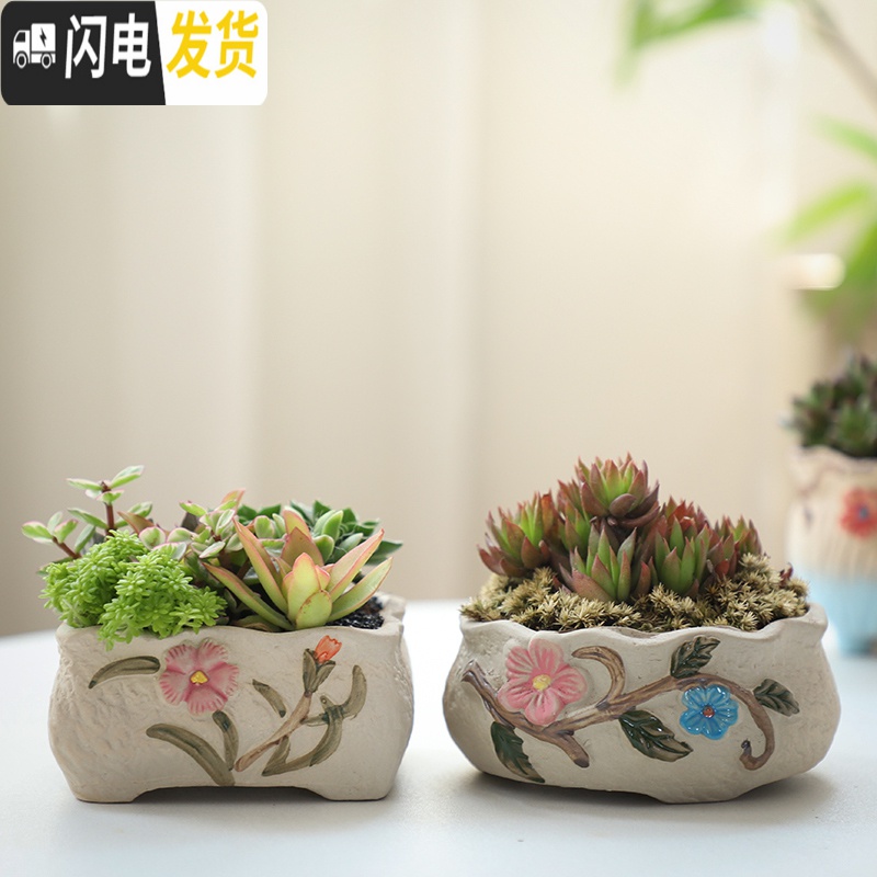 三维工匠可画画上色彩多肉小花盆陶瓷粗陶透气创意肉肉植物盆 西瓜红图片款[2个装] 中等花盆容器高清大图